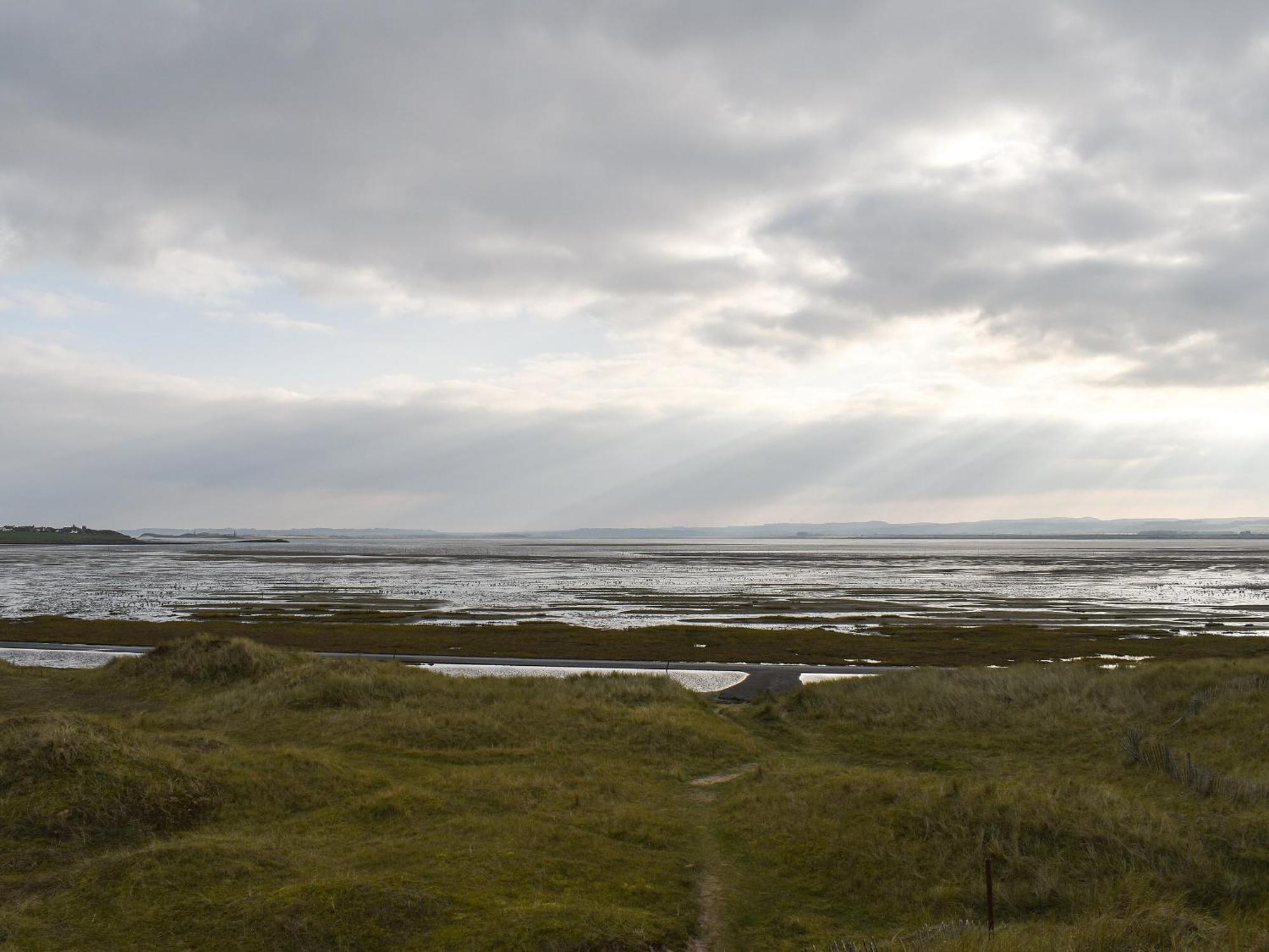 Lower Bamburgh View *